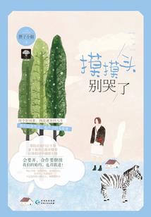 穿越异世做刘芒