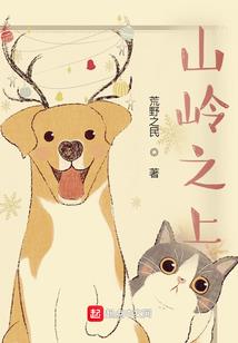 从维开始