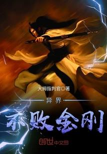 轮回五部曲之斗气篇