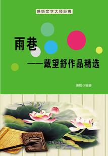英雄联盟之夜辉降临