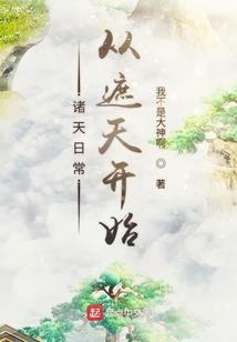 帅戈风云录