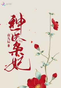 阳界灵师