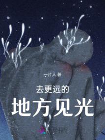 四时花竞巧