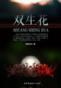 和你始于初见止于终老