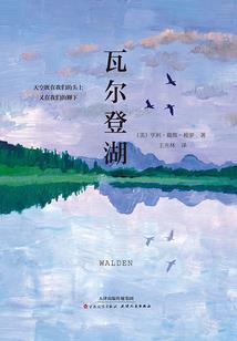 引妻入怀：顾少情有独钟