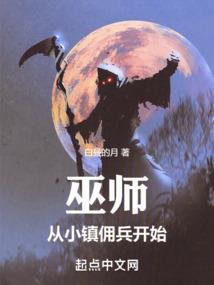 冰剑传说