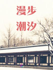 轮回之咒