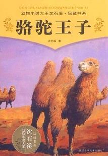 星夜迷途