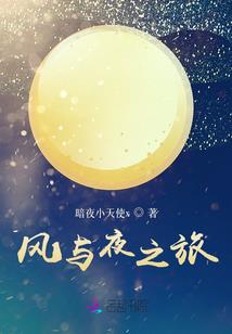 穿越杨家将之杨九妹