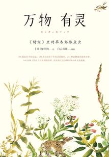 只道，随缘