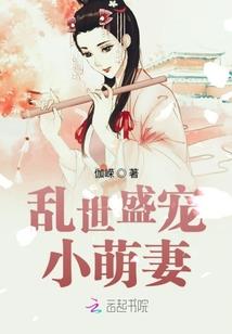 神奇宝贝之系统至上