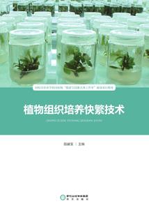 枪神纪之枪神之恋