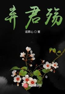 陆雨飞蒙