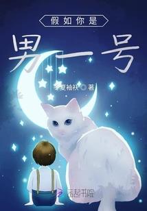 超级影子战队