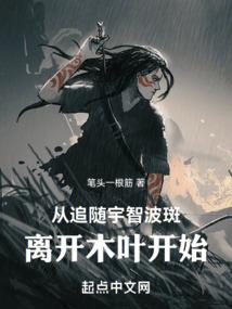 抢爱灰姑娘