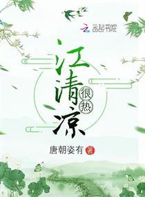 神奇宝贝之龙之传人