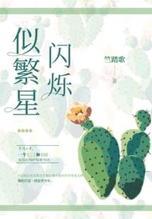 重生木匠皇帝