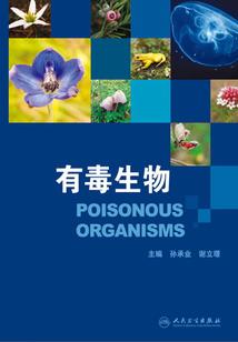 今古传奇·武侠版 第399期