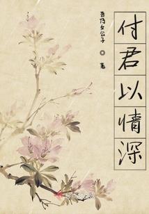 北漂老板日记