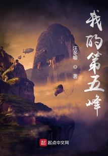丧失之城双生