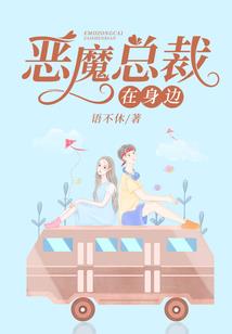 神奇宝贝之铠甲英雄
