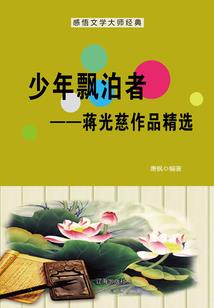 穿越古代之腹黑丫头王妃