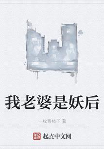 兖州军渡过辽水