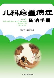 辛岚之子