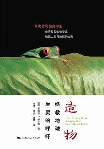 永不凋落的青春