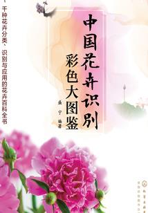 混沌天地诀