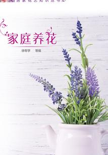 全能升级在都市