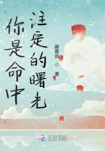 银灰色的守望