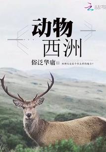 编辑快到碗里来