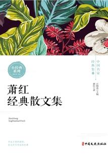 晴宇花开