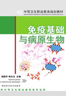 匆匆又十年