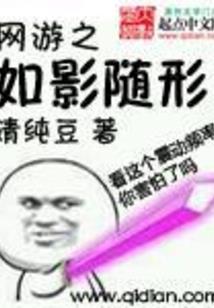 查理九世之在天空中飞翔的