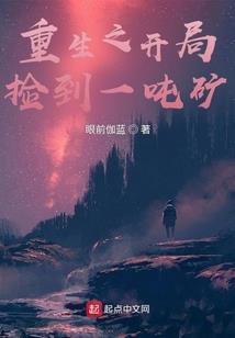 浴血飞皇