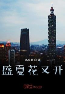 洗髓丹效