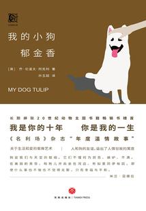 谁是谁是我