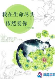 阴阳摇篮曲