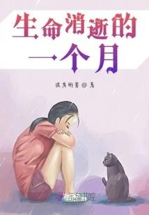 十二年后的再次相见
