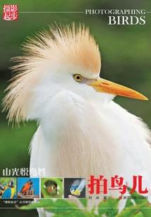 我在诸天开黑店