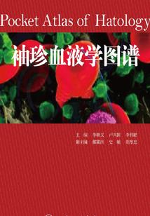 弦柱思华年