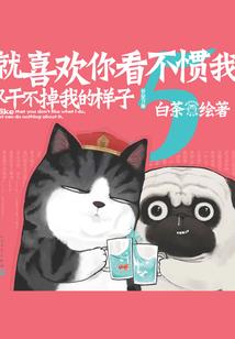 王者再续荣耀