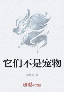 全职法师之小人物称王