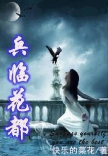 侠之意