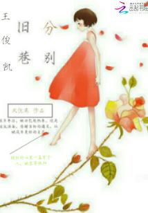我在农村搞开发