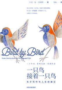 坤皇传