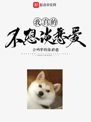 钢之炼金术士回忆之奏鸣曲