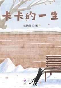 黑鸟之回归